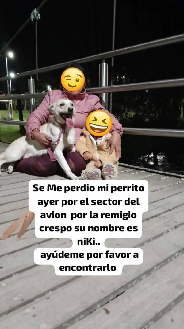 Extraviados - Extraviado por el se...