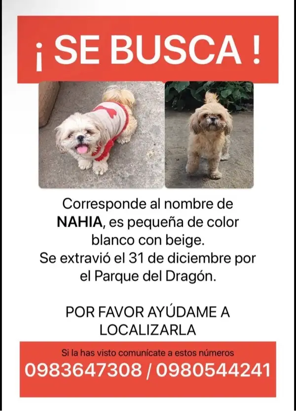 Extraviados - 🆘Continuamos en su b...