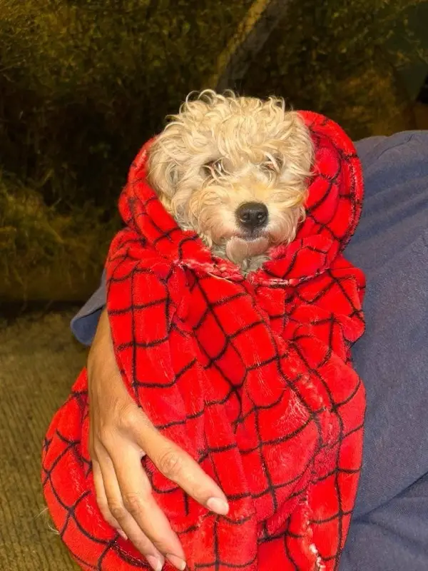 Extraviados - Quinta chica baja 📢c...