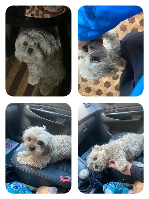 Extraviados - Buenas noches, hoy m...