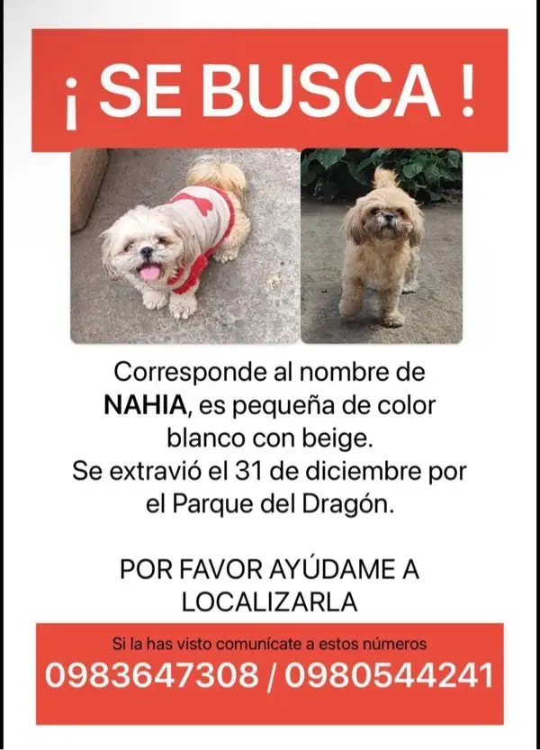 Extraviados - 🆘 ‼️Ella es NAHIA y ...